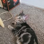 James W Easterling - @james09261 - Instagram