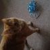 Max James Eckersall - Facebook