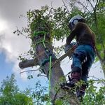 James Eckersley and Lee Broadhead - @jl_tree_contracting_ltd - Instagram
