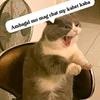 Toyi - @jamesecks - TikTok