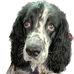 James Edden - Facebook