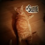 James Edington - @inf890 - Instagram