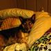 James Edley - Facebook