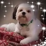 James Egbert - @james.egbert.731 - Instagram