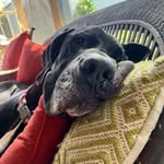 James Eggers - @jimeggers - Instagram