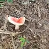 jamesjimmyeggerss - @jamesjimmyeggerss - TikTok