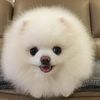 Divyanshu_Keshari_(B - @james.eglinton720 - TikTok