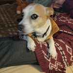 James Eichler - @eichlerjames - Instagram