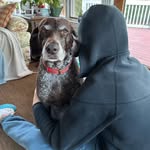 James eifert - @james3ifert - Instagram