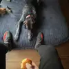 James - @james.eifert - TikTok