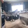 jamesneigel - @jamesneigel - TikTok