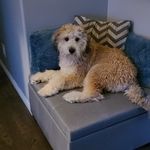 Bentley James Einarson - @bentleyjames2021 - Instagram
