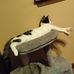 James Eiskant - Facebook