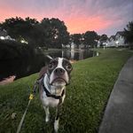 @jamesdellaero - Instagram