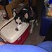 James Eldred - Facebook
