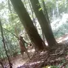 James Eldridge - @jameseldridge76 - TikTok