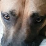 damian james ellenburg - @ellenburgdamianjames - Instagram