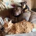 Jim Ellenburg - Facebook