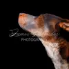 JamesEllenderPhotography - @jamesellenderphot - TikTok