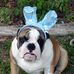 James Elmquist - Facebook