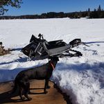 James Elsey - @james.elsey.108 - Instagram