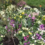 James Eltringham - @eltringham_gardens - Instagram