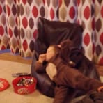 James Eltringham - Facebook
