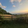 JamesElvis - @jameselvisss - TikTok