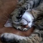 James Emond - @jamesemond807 - Instagram