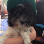 James Engeman - @jimmy2003333 - Instagram