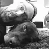 JustA_Dawg_❌ - @jamesedgeman - TikTok