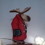 James Engmann - @engmannjames - Instagram