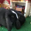 jamesensnoepie - @jamesensnoepie - TikTok