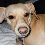 jamesensign - @jamesthecoolguy7275 - Instagram