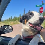 James Entzminger - @entzmingerjames - Instagram