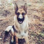 james erisman - @lil_erisman - Instagram