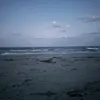 Jamess_beach - @jamesz__ - TikTok