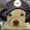 James_shade - @james_shade - TikTok