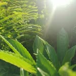 Espaldon Espiel LeoJames - @leo_james_espiel - Instagram