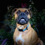 James S. Etheredge - @james_s._etheredge - Instagram