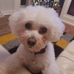 James Evanoff - @jamesevan399 - Instagram
