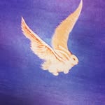 James Evans - @james3vans - Instagram
