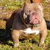 James Evens - Facebook