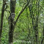 James Evensen Photography - @james_evensen_photography - Instagram