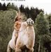 James Everman - Facebook