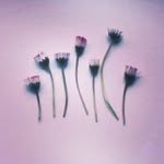 James Ewert - @parkfierra - Instagram