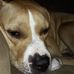 James Fager - Facebook