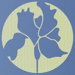 David Andrew James Fairley - @davidfairleygardens - Instagram