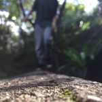 James Faller - @james.faller - Instagram