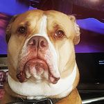 James Fallon - @james.fallon.351 - Instagram